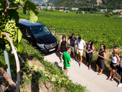 Guide shows Wachau Valley on a guided tour